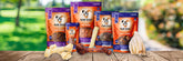All-natural dog chews featuring collagen sticks, bones, pig ears and beef bones